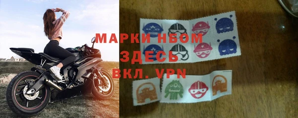 крисы Кодинск