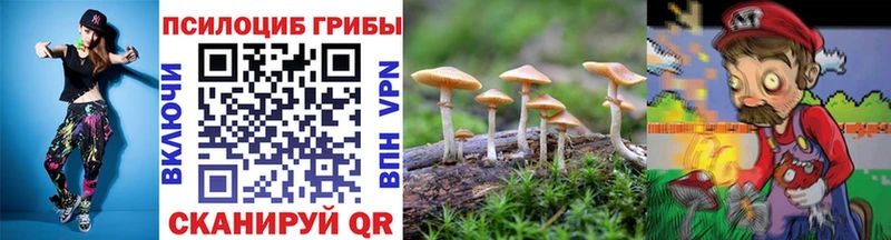 мега ссылки Липецк Псилоцибиновые грибы мухоморы